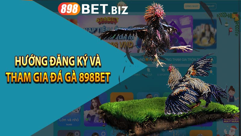 Hướng đăng ký và tham gia đá gà 898bet