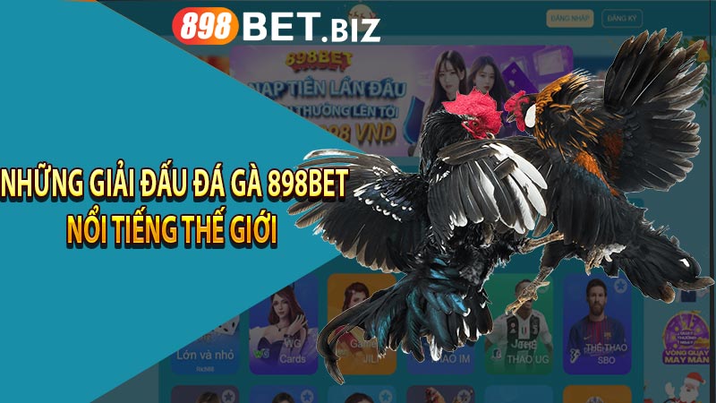 Những giải đấu đá gà 898bet nổi tiếng thế giới