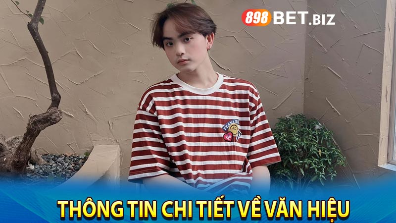 Thông tin chi tiết về Văn Hiệu