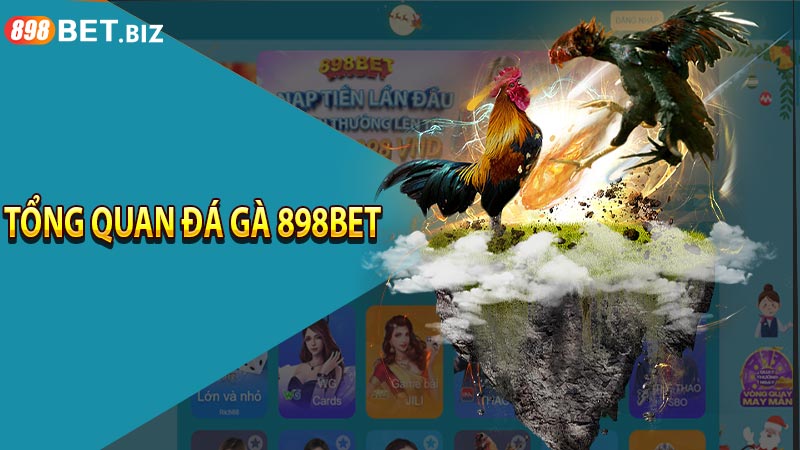 Tổng quan đá gà 898bet
